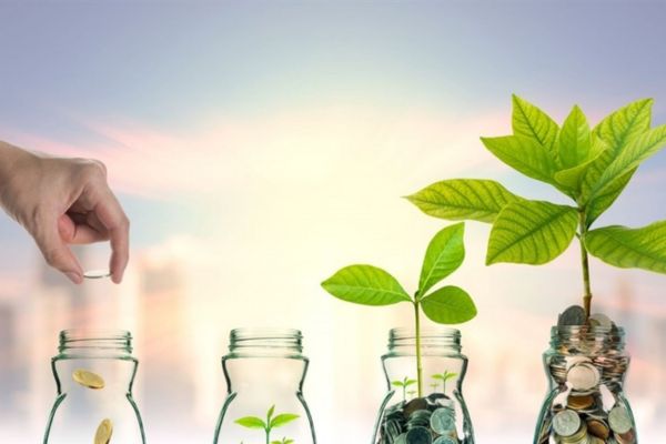 Lý do Việt Nam trở thành điểm đến đầu tư lý tưởng cho các doanh nghiệp?